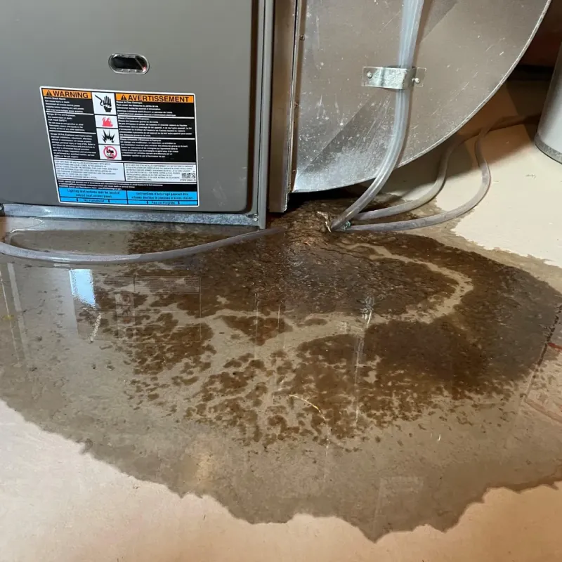 Appliance Leak Cleanup in Bethel, OH